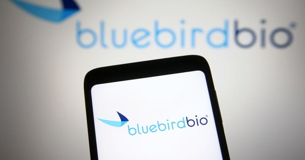 Bluebird Bio سهم